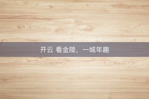 開(kāi)云 看金陵,一城年趣